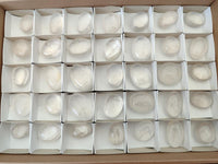 Polished Girasol Pearl Quartz Palm Stones x 35 From Ambatondrazaka, Madagascar