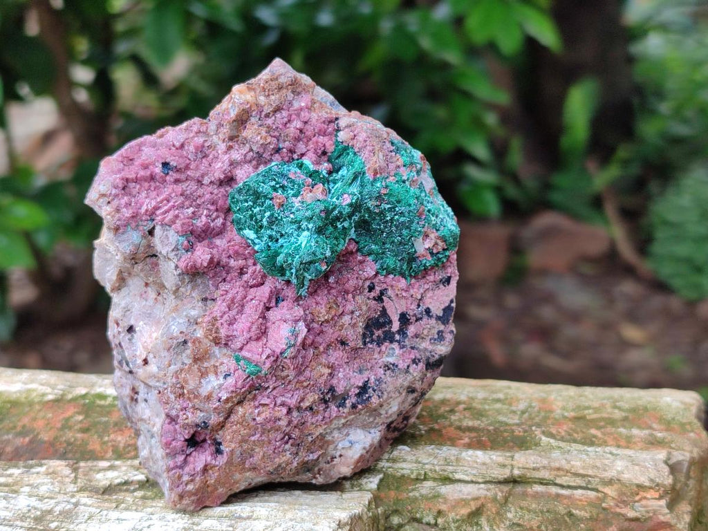 Natural Salrose Cobaltion Dolomite with Malachite and Kaolinite Specimens x 2 From Kakanda, Congo