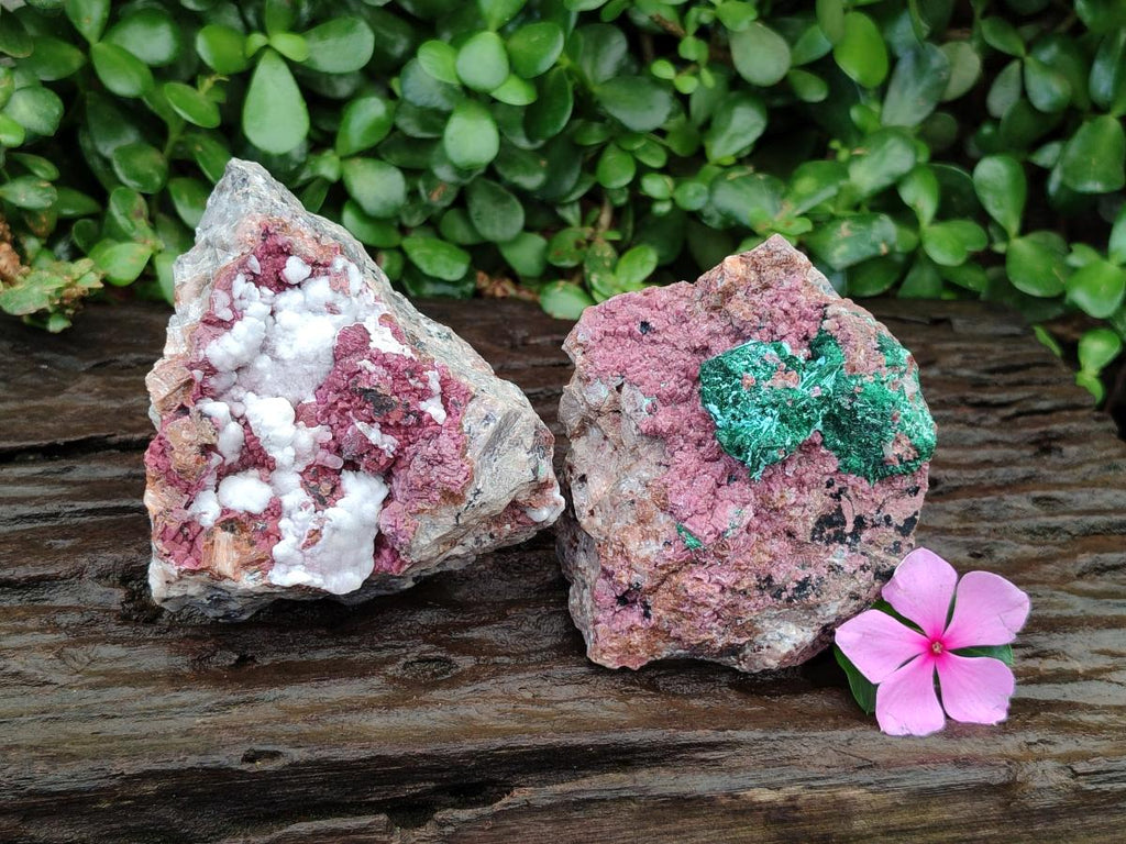 Natural Salrose Cobaltion Dolomite with Malachite and Kaolinite Specimens x 2 From Kakanda, Congo