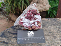 Natural Salrose Cobaltion Dolomite with Malachite and Kaolinite Specimens x 2 From Kakanda, Congo