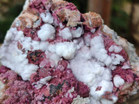 Natural Salrose Cobaltion Dolomite with Malachite and Kaolinite Specimens x 2 From Kakanda, Congo
