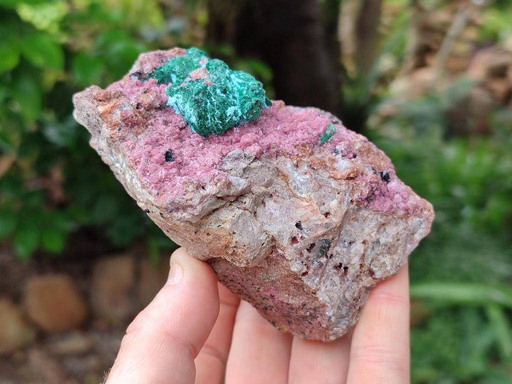 Natural Salrose Cobaltion Dolomite with Malachite and Kaolinite Specimens x 2 From Kakanda, Congo
