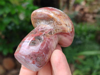 Polished Mixed Selection of Mushrooms x 6 From Madagascar