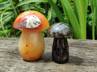 Polished Mixed Selection of Mushrooms x 6 From Madagascar