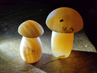 Polished Mixed Selection of Mushrooms x 6 From Madagascar