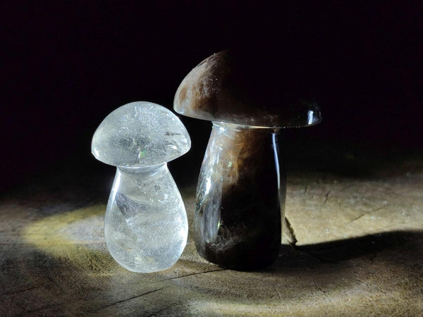 Polished Mixed Selection of Mushrooms x 6 From Madagascar