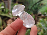 Polished Mixed Selection of Mushrooms x 6 From Madagascar