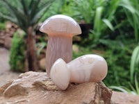 Polished Mixed Selection of Mushrooms x 6 From Madagascar