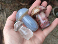 Polished Mixed Selection of Mushrooms x 6 From Madagascar