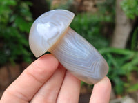 Polished Mixed Selection of Mushrooms x 6 From Madagascar