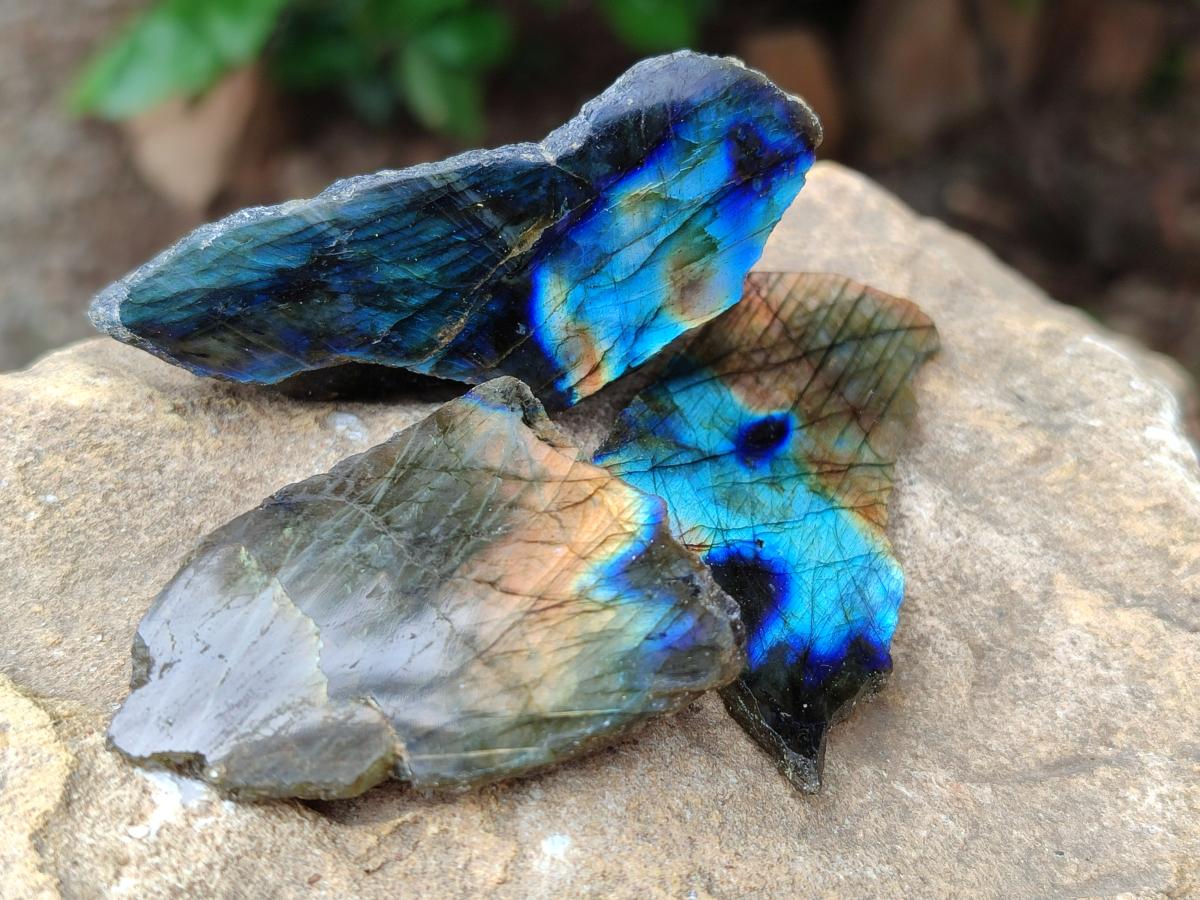 Polished On One Side Labradorite x 36 From Tulear, Madagascar