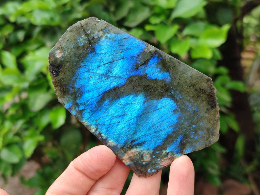 Polished On One Side Labradorite x 36 From Tulear, Madagascar