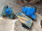 Polished On One Side Labradorite x 36 From Tulear, Madagascar