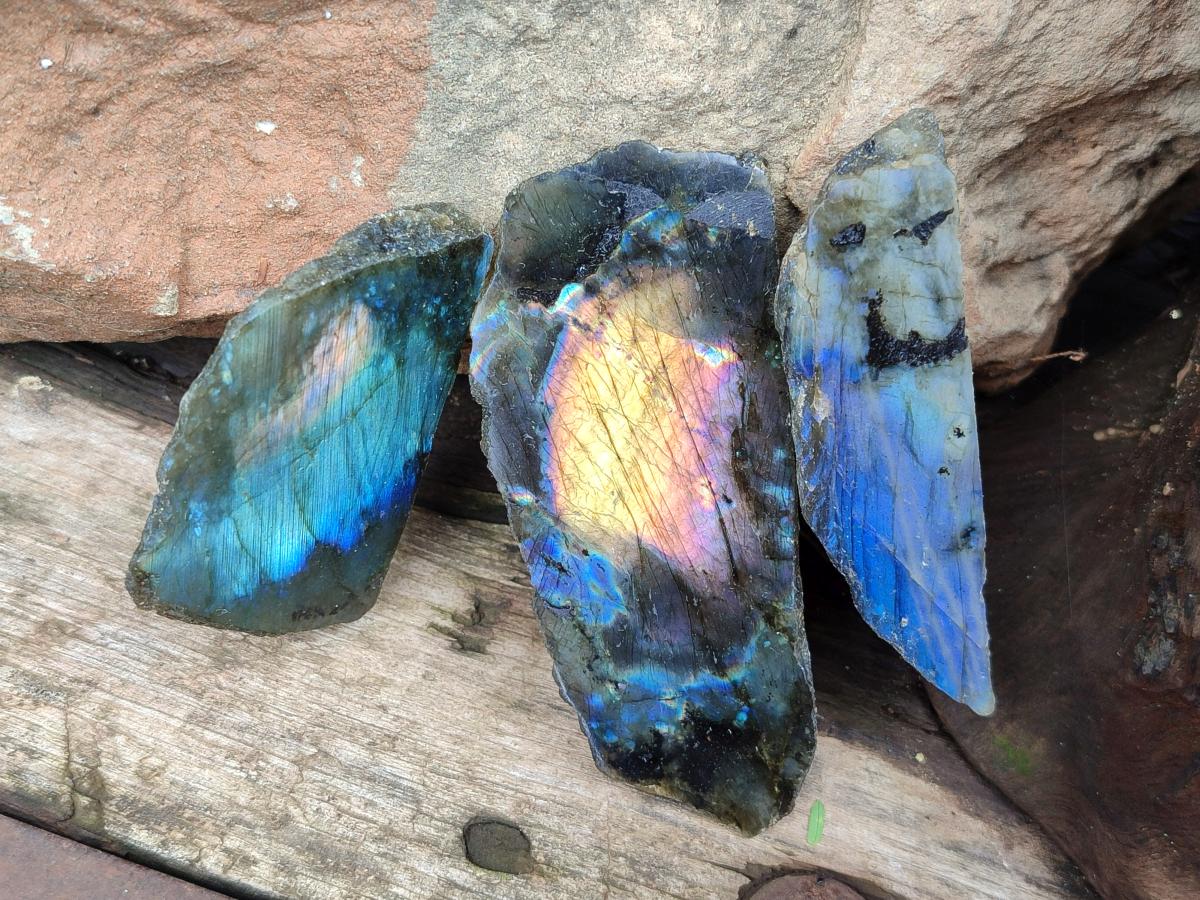 Polished On One Side Labradorite x 36 From Tulear, Madagascar