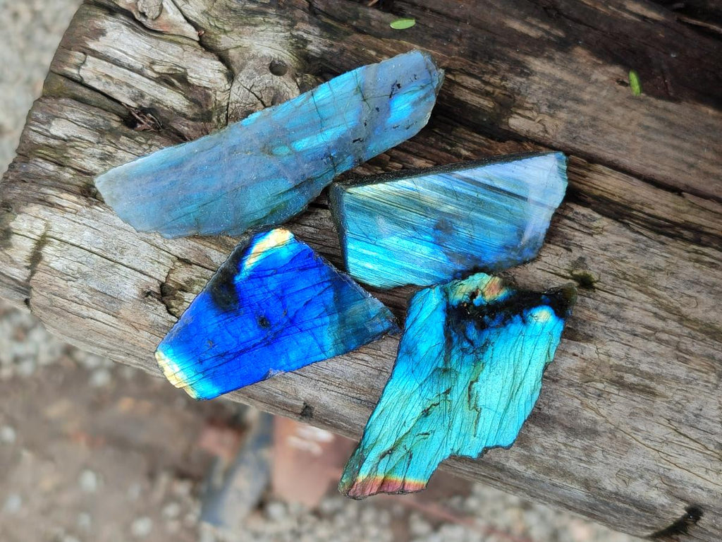 Polished On One Side Labradorite x 36 From Tulear, Madagascar