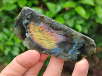 Polished On One Side Labradorite x 36 From Tulear, Madagascar