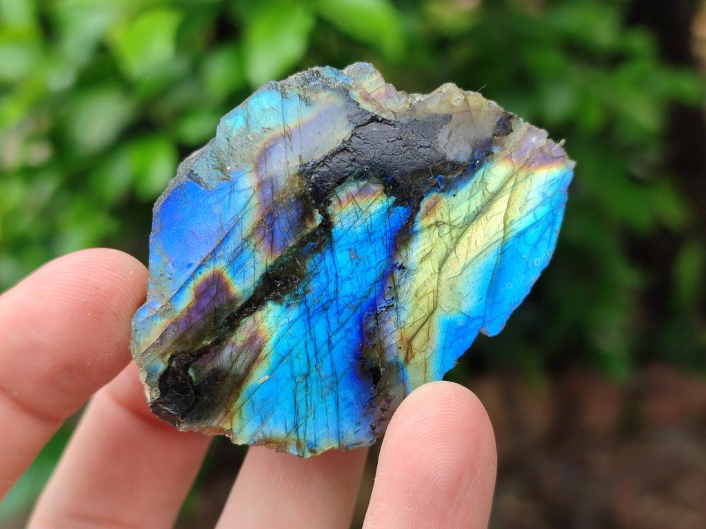Polished On One Side Labradorite x 36 From Tulear, Madagascar
