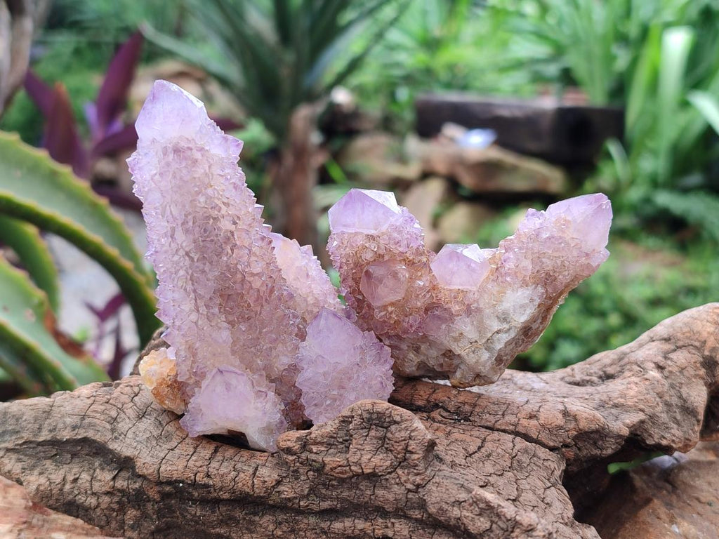 Natural Lilac Fairy Spirit Quartz Clusters x 6 From Boekenhouthoek, South Africa