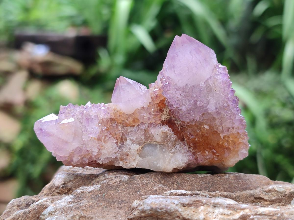 Natural Lilac Fairy Spirit Quartz Clusters x 6 From Boekenhouthoek, South Africa