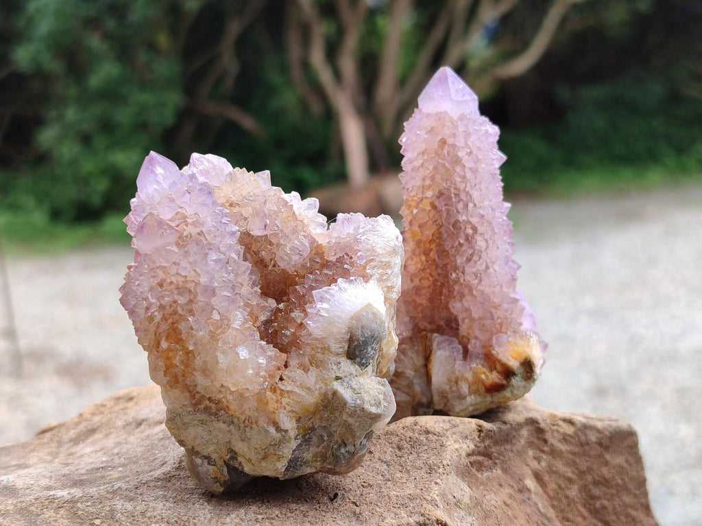 Natural Lilac Fairy Spirit Quartz Clusters x 6 From Boekenhouthoek, South Africa