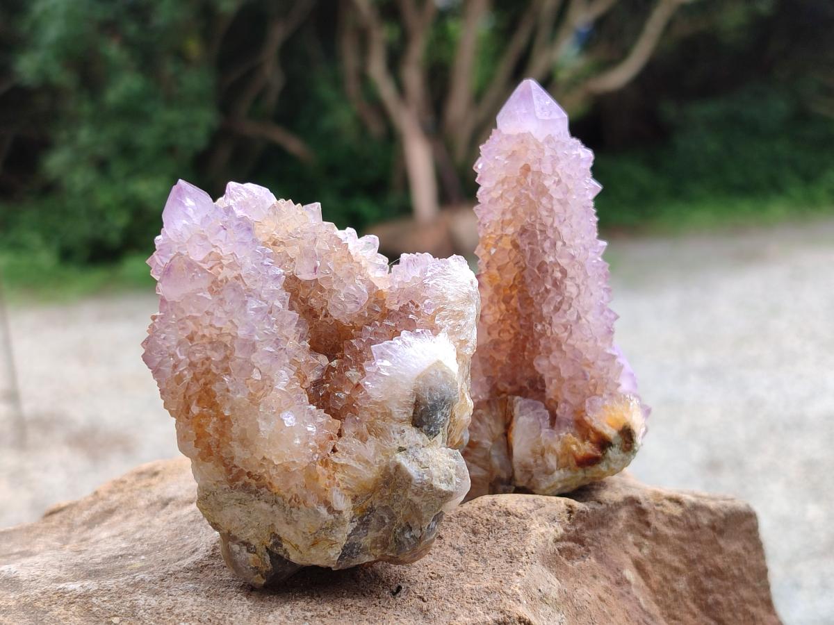 Natural Lilac Fairy Spirit Quartz Clusters x 6 From Boekenhouthoek, South Africa