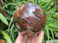 Polished Ocean Jasper Sphere x 1 From Northwest Coast, Madagascar