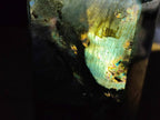 Polished Labradorite Crystals x 2 From Tulear, Madagascar