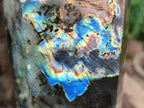 Polished Labradorite Crystals x 2 From Tulear, Madagascar