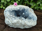 Natural Blue Celestite Geode Specimen x 1 From Sakoany, Madagascar