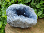 Natural Blue Celestite Geode Specimen x 1 From Sakoany, Madagascar