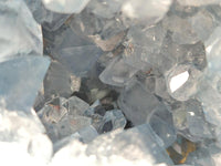Natural Blue Celestite Geode Specimen x 1 From Sakoany, Madagascar
