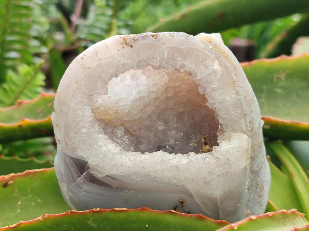 Polished Agates with Crystalline Geodes x 6 From Maintirano, Madagascar