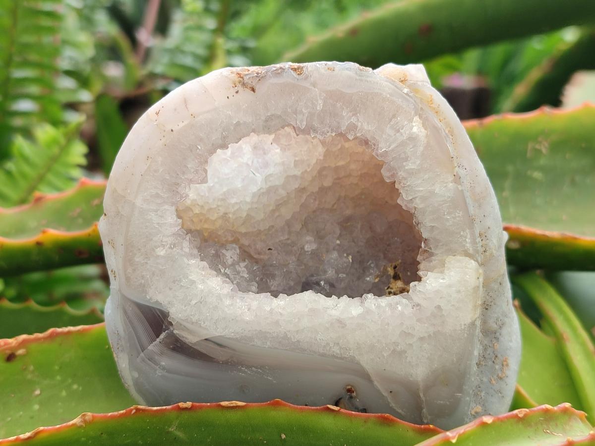 Polished Agates with Crystalline Geodes x 6 From Maintirano, Madagascar