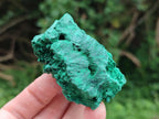 Natural Silky Malachite Specimens x 12 From Kasompe, Congo