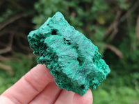 Natural Silky Malachite Specimens x 12 From Kasompe, Congo