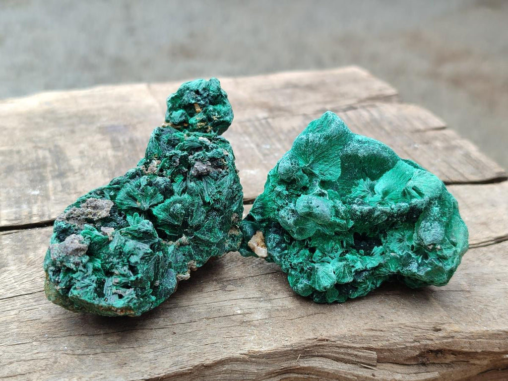 Natural Silky Malachite Specimens x 12 From Kasompe, Congo