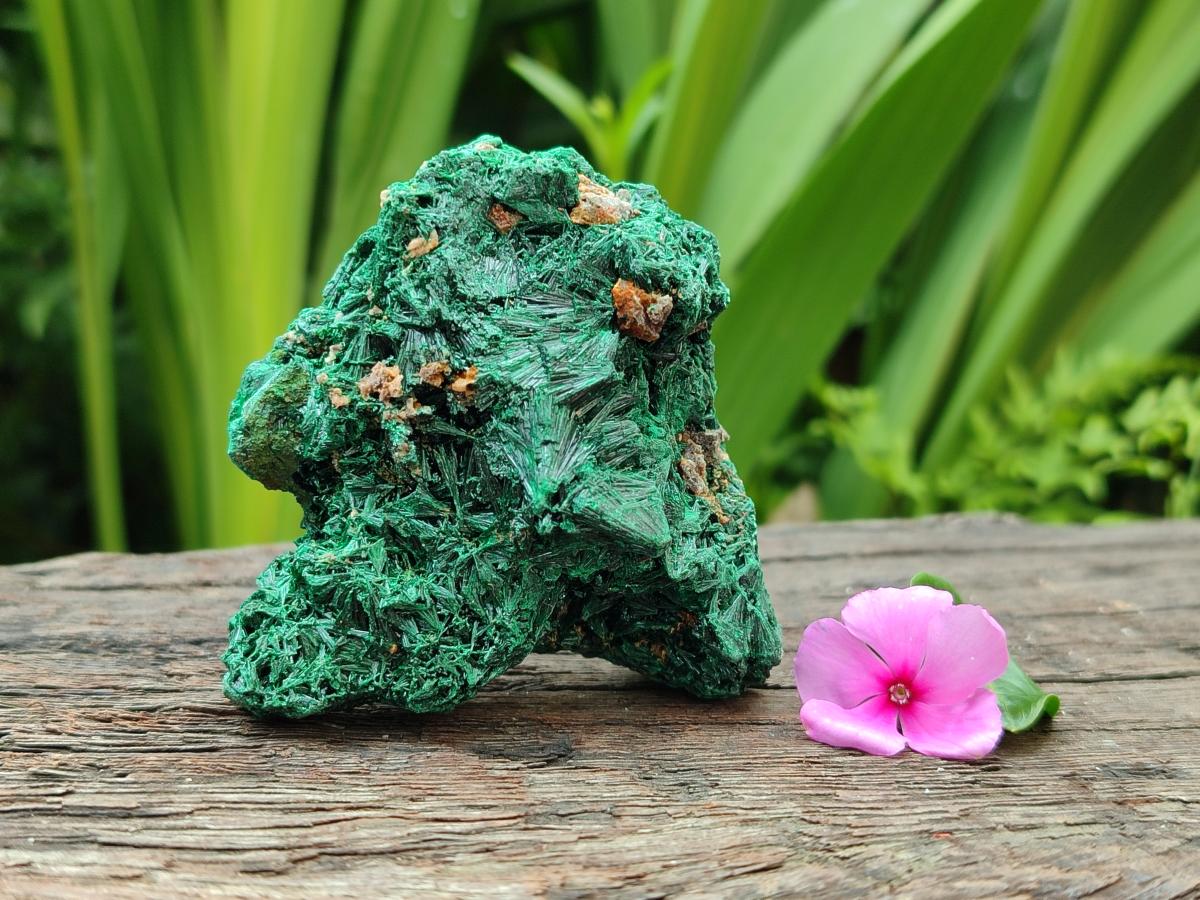 Natural Silky Malachite Specimens x 12 From Kasompe, Congo