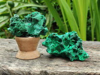 Natural Silky Malachite Specimens x 12 From Kasompe, Congo