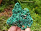 Natural Silky Malachite Specimens x 12 From Kasompe, Congo
