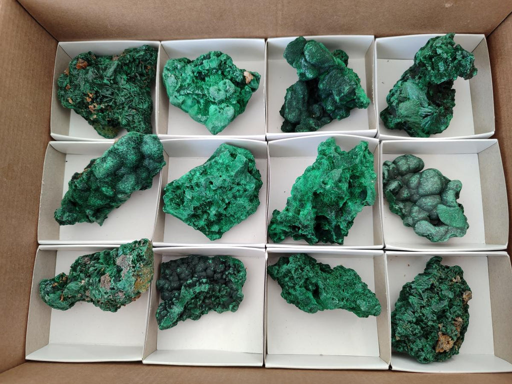 Natural Silky Malachite Specimens x 12 From Kasompe, Congo