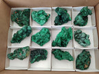 Natural Silky Malachite Specimens x 12 From Kasompe, Congo