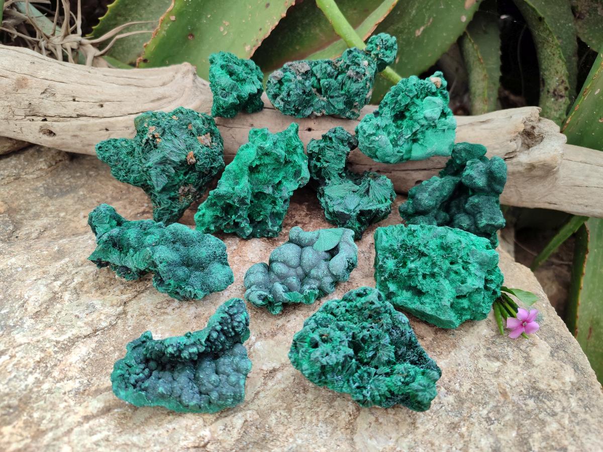 Natural Silky Malachite Specimens x 12 From Kasompe, Congo