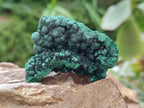 Natural Silky Malachite Specimens x 12 From Kasompe, Congo