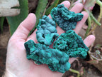 Natural Silky Malachite Specimens x 12 From Kasompe, Congo