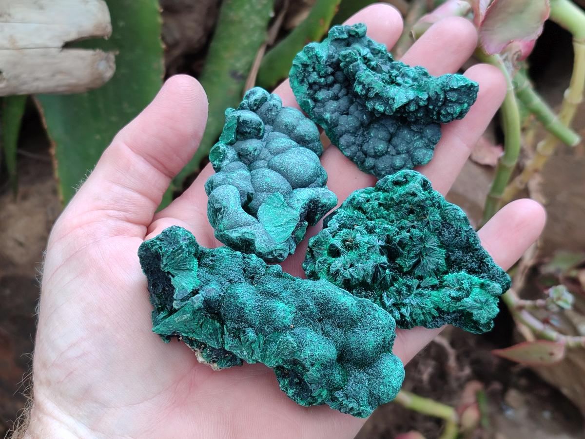 Natural Silky Malachite Specimens x 12 From Kasompe, Congo