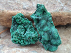 Natural Silky Malachite Specimens x 12 From Kasompe, Congo