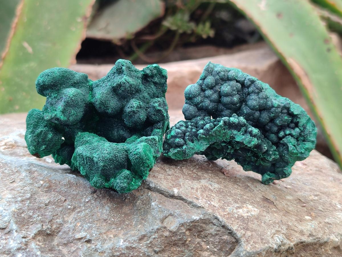 Natural Silky Malachite Specimens x 12 From Kasompe, Congo