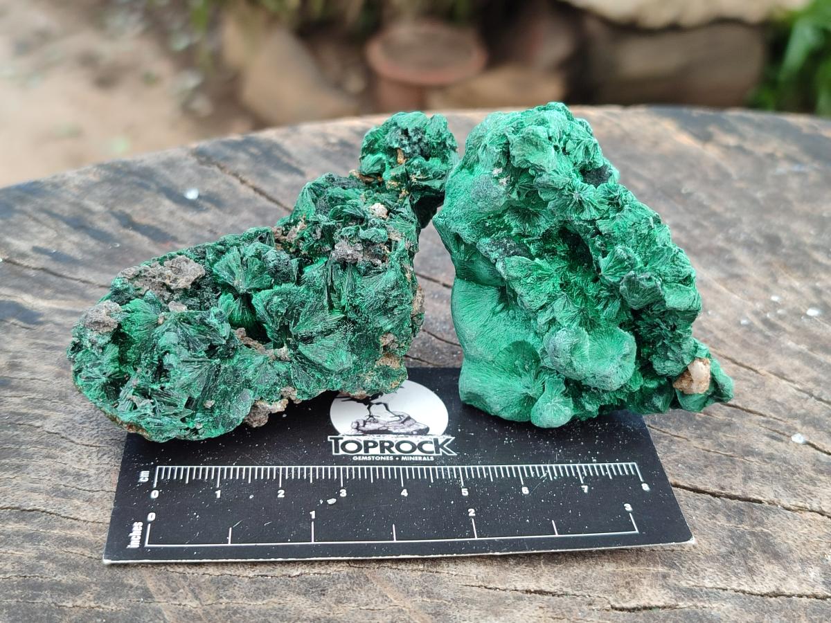 Natural Silky Malachite Specimens x 12 From Kasompe, Congo