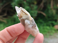 Natural Drusy Quartz Coated Spearhead Calcite Specimens x 20 From Albert's Mountain, Lesotho
