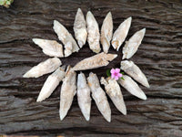 Natural Drusy Quartz Coated Spearhead Calcite Specimens x 20 From Albert's Mountain, Lesotho